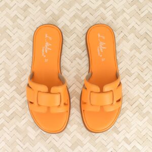 sh 1307 b orange