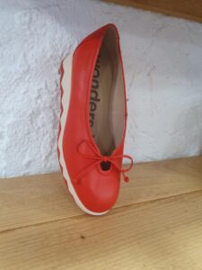 805a4c0a-9ed1-430f-801b-9181ad9a6084