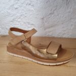 00f21dee-3cbc-405d-8f92-194419522d9e