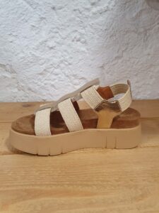 e5d48fe0-c70d-4e69-806c-689f9466eef1 (1)