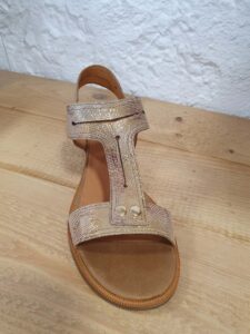 e6f75116-20ca-46bd-abe5-781436db7c4e